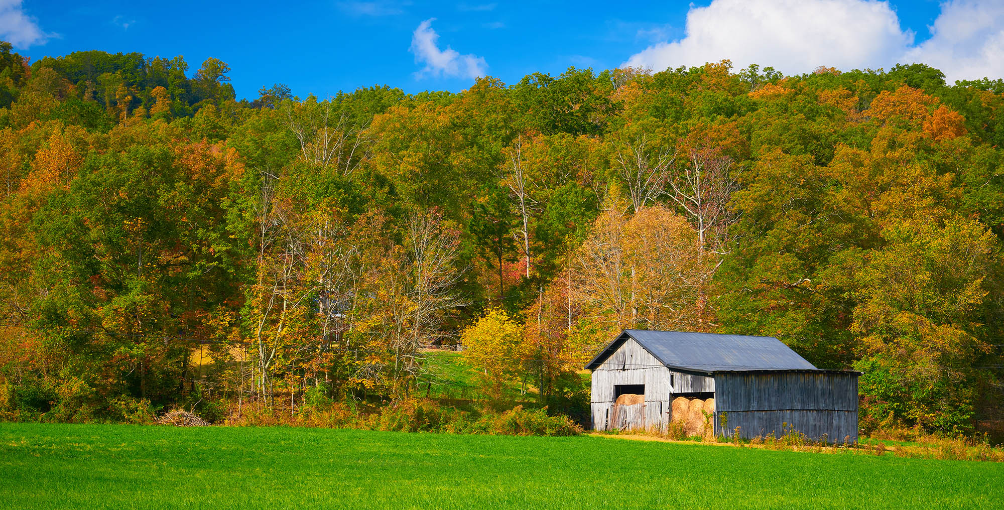 Carpenter's Village Addiction Recovery Care